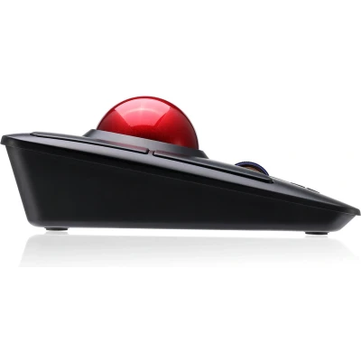 Afbeelding van Adesso iMouse T50 muis RF Draadloos Trackball 4800 DPI Ambidextrous