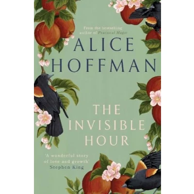 Afbeelding van The Invisible Hour