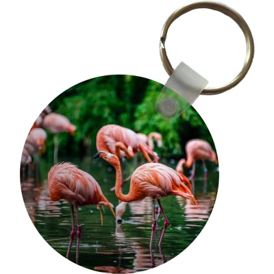 Afbeelding van Sleutelhanger Flamingo Tropisch Vogel Water Roze Plastic Rond Uitdeelcadeautjes