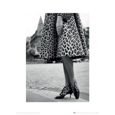 Afbeelding van Kunstdruk Time Life Dior Leopard Print 30x40cm