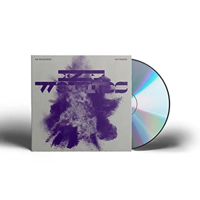Afbeelding van Exit Wounds (CD)