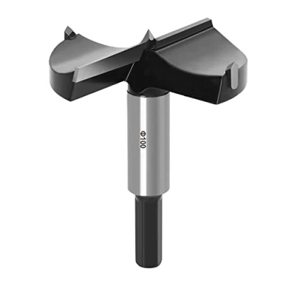 Afbeelding van ASNOMY Forstner boor van wolfraamstaal, 100 mm, voor hout en hardhout