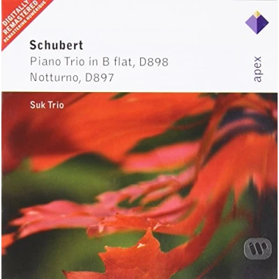 Afbeelding van Piano Trio Op99 &amp;Amp; Nocturne