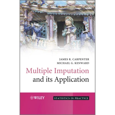 Afbeelding van Multiple Imputation and its Application