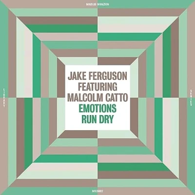 Afbeelding van Emotions Run Dry (Feat. Malcolm Catto)