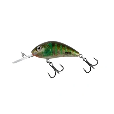 Afbeelding van Salmo Rattlin Hornet Floating (diepte 1.8 3.4m) 4.5cm 6g Kleur : Green Gill Clear