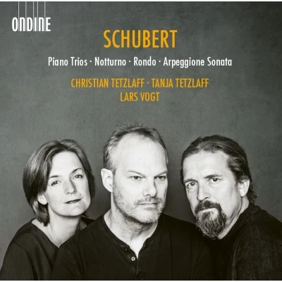 Afbeelding van Christian Tetzlaff, Tanja Tetzlaff , Lars Vogt Schubert: Piano Trios Notturno Rondo Arpeggione Sonata (2 CD)