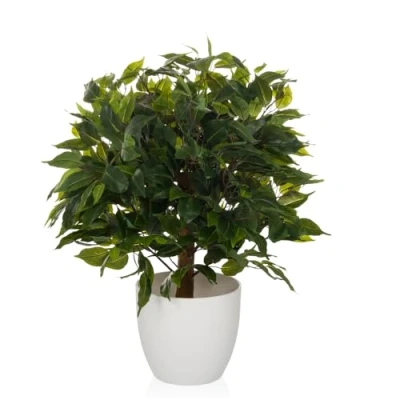 Afbeelding van FICUS II Kunstplant Groen