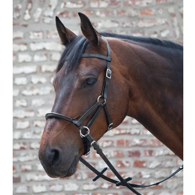 Afbeelding van Waldhausen Bitloos Hoofdstel LTJ Zwart Full