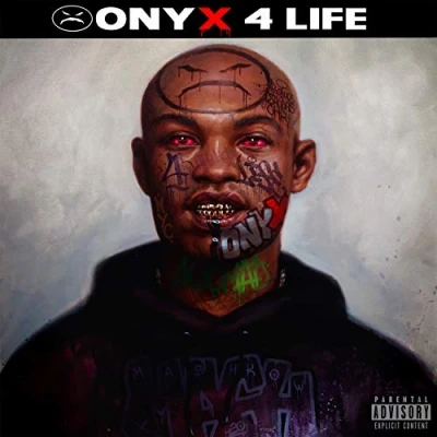 Afbeelding van Onyx 4 Life