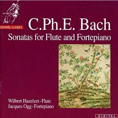 Afbeelding van Wilbert Hazelzet &amp; Jacques Ogg Sonatas For Flute And Fortepiano (CD)
