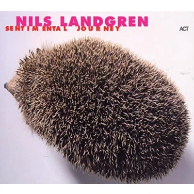 Afbeelding van Sentimental Journey