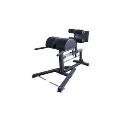 Afbeelding van Lifemaxx LMX1742 Glute Ham Developer PRO