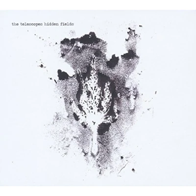 Afbeelding van The Telescopes Hidden Fields (CD)