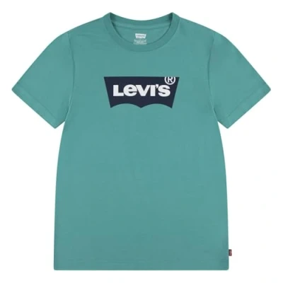 Afbeelding van Levi&#039;s Batwing TEE Unisex Tshirt print voor kinderen, Maat: 140, Porcelain green