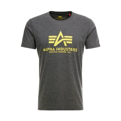 Afbeelding van Alpha Industries T CAMO Tshirt print, Heren, Maat: Small, Charcoal heather
