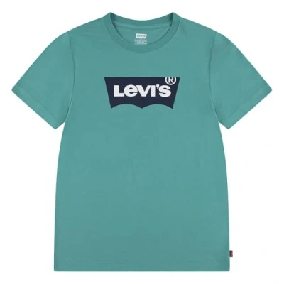 Afbeelding van Levi&#039;s Batwing TEE Unisex Tshirt print voor kinderen, Maat: 110, Porcelain green