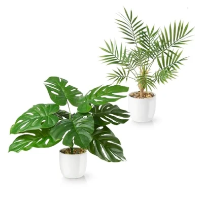 Afbeelding van PASCH® Monstera kunstpalm, set van 2 stuks, 35 cm, in witte keramische potten: kunstplanten als echt, pot, kunstplant + kunstbloemen pot