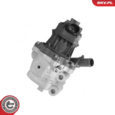 Afbeelding van EGR klep ESEN SKV 14SKV301