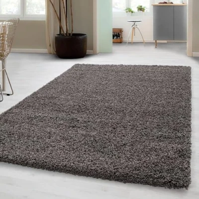 Afbeelding van Carpetsale24 Hoogpolig Vloerkleed Taupe Effen Tapijt Shaggy Modern Woonkamer Slaapkamer, Kinderkamer Trend Soft Fluffy 240 x 340 cm