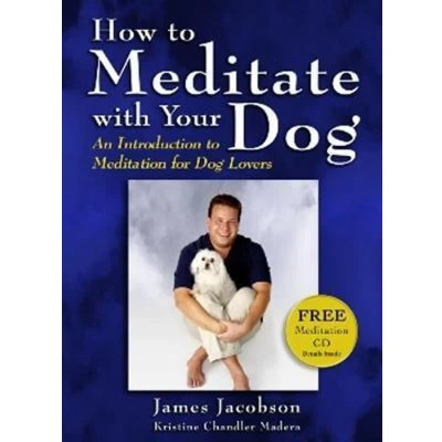 Afbeelding van How to Meditate with Your Dog