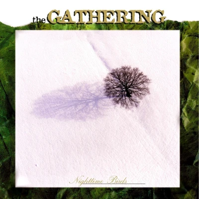 Afbeelding van The Gathering Nighttime Birds (CD)