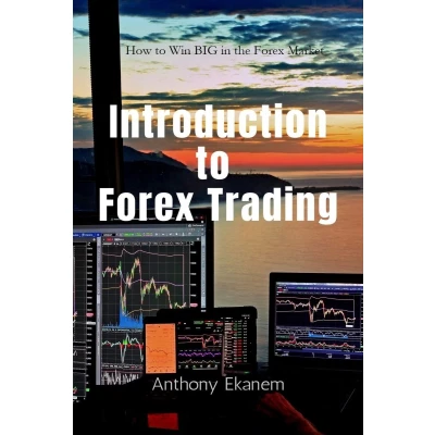 Afbeelding van Introduction To Forex Trading: A Beginner’s Guide Trading