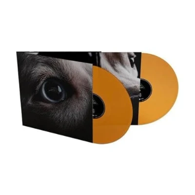 Afbeelding van the Dark Side of Moon