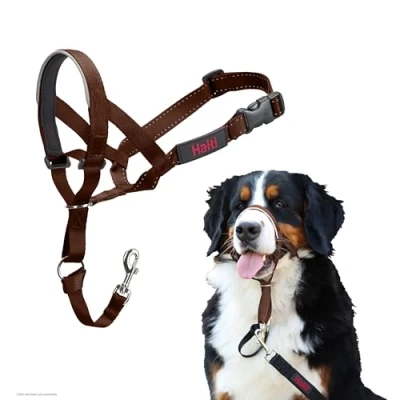 Afbeelding van Company of Animals Halti Halster, om te voorkomen dat je hond aan de riem trekt. Verstelbaar, reflecterend en licht, met gevoerde neusband, Deep Walnut, 4