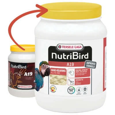 Afbeelding van Nutribird A19 Papegaai 800 GR (409876)