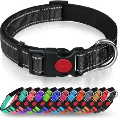 Afbeelding van Taglory Reflecterende nylon hondenhalsband met veiligheidsgesp, verstelbare halsband, zachte neopreen voering, voor puppy‘s, XS, zwart