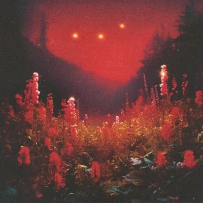 Afbeelding van Silent Planet Superbloom (LP)