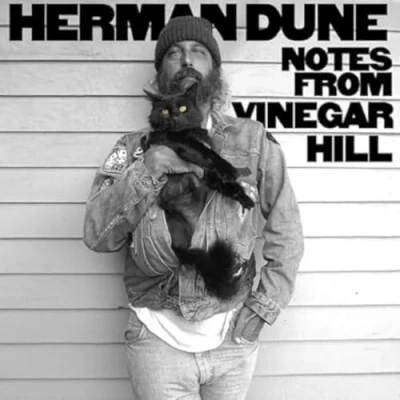 Afbeelding van Herman Dune Notes From Vinegar Hill (CD)
