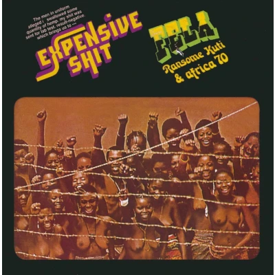 Afbeelding van Fela Kuti Expensive Shit / He Miss Road (CD)