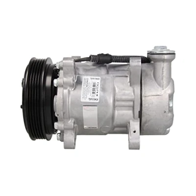 Afbeelding van Delphi Diesel Airco compressor TSP0159424