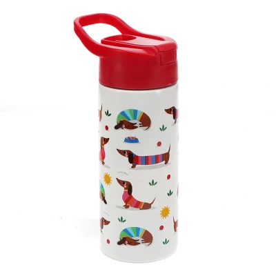 Afbeelding van Drinkfles roestvrijstaal met drinktuit Teckel / Sausage dog van Rex London