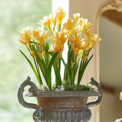 Afbeelding van LOBERON Sierbloem set van 12 Ilvera geel/groen