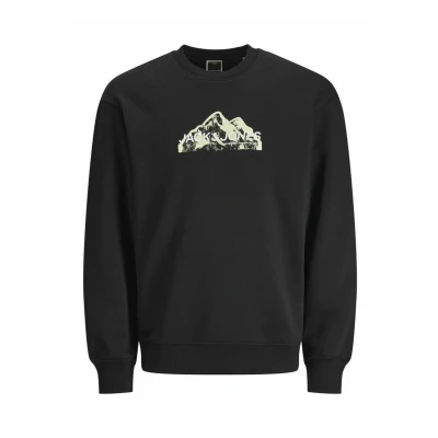 Afbeelding van Jack &amp; Jones Junior Jcofusion CREW NECK Sweater voor kinderen, Maat: 104, Black
