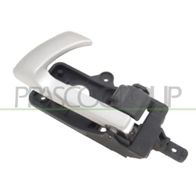 Afbeelding van Handgreep, interieur PRASCO HN8168648