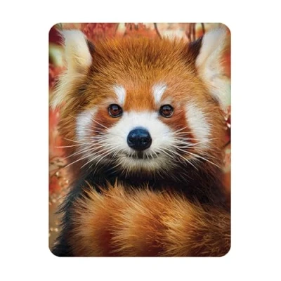 Afbeelding van 3D LiveLife Magneet Baby Rode Panda van Deluxebase. Lenticulaire Dier Koelkastmagneet. Magnetisch decor voor kinderen en volwassenen met kunstwerk de bekende kunstenaar David Penfound