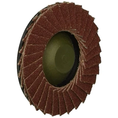 Afbeelding van Proxxon Micromot 28 590 Lamellenschijf Diameter 50 mm 1 stuk(s)