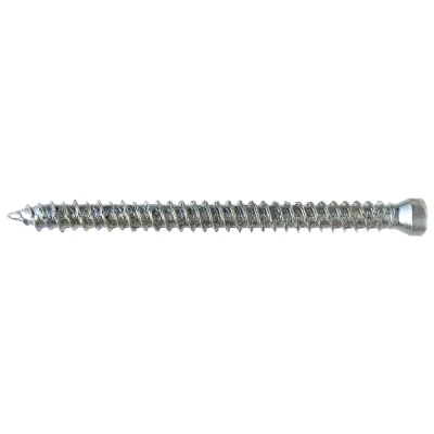 Afbeelding van pgb Europe SMART Kozijnschroef CK T30 Ø 7,50x42 Zn 100 st SM0WSC0010750423