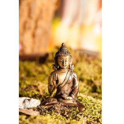 Afbeelding van Amoghasiddhi Dhyani boeddha