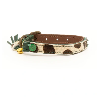 Afbeelding van Dwam Ivy Kattenhalsband 22 27x1 cm Multi Color