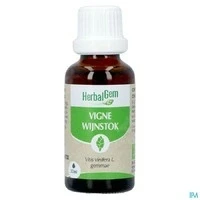 Afbeelding van Herbalgem Wijnstok Maceraat Bio 30ml