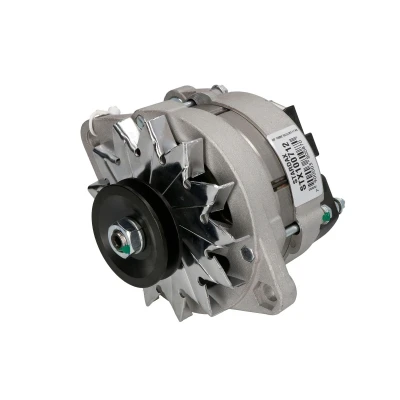 Afbeelding van Stardax Alternator/Dynamo STX100712