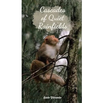 Afbeelding van Cascades of Quiet Rainfields