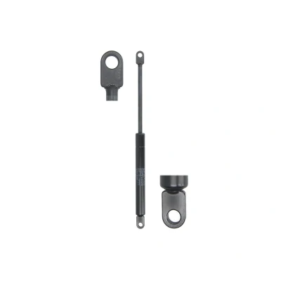 Afbeelding van Gasveer, kofferdeksel STABILUS 057053