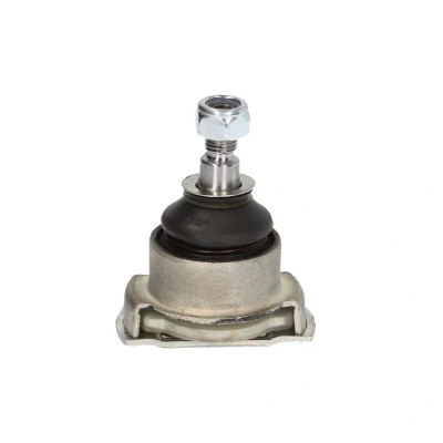 Afbeelding van Moog Fuseekogel BM BJ 4346