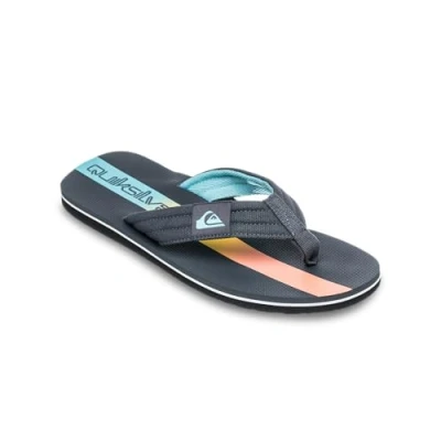 Afbeelding van Quiksilver Molokai Layback Teensandalen, Heren, Maat: 41, Iron gate holmes Schoenen